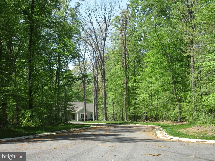 0 Turnberry Ct unit 1000480469, Chestertown, MD 21620 - photo 1