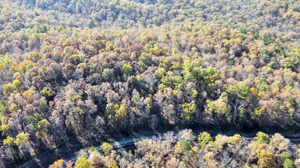 000 Route Z Hwy, van Buren, MO 63965 - photo 1