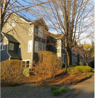 37 Amity Place, Amherst, MA 01002 - photo 1