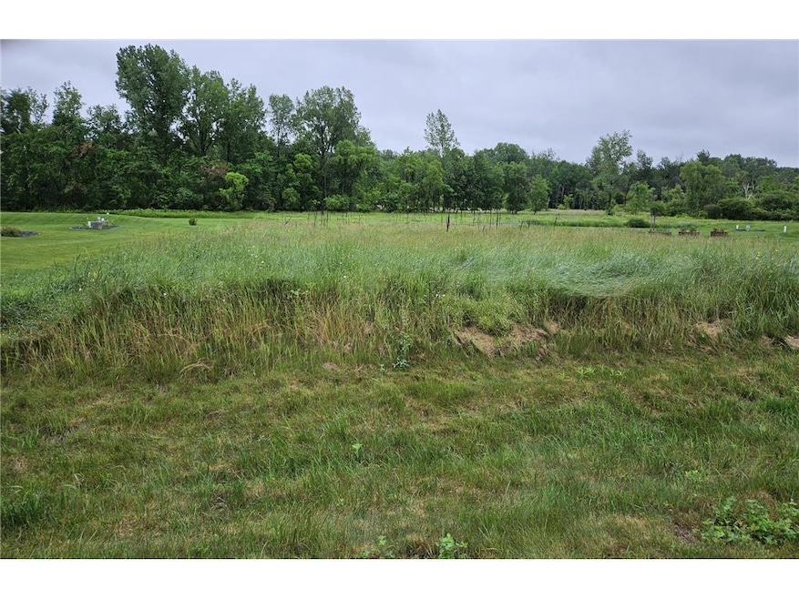 Lot 16 558th Street St, Menomonie, WI 54751 - photo 1