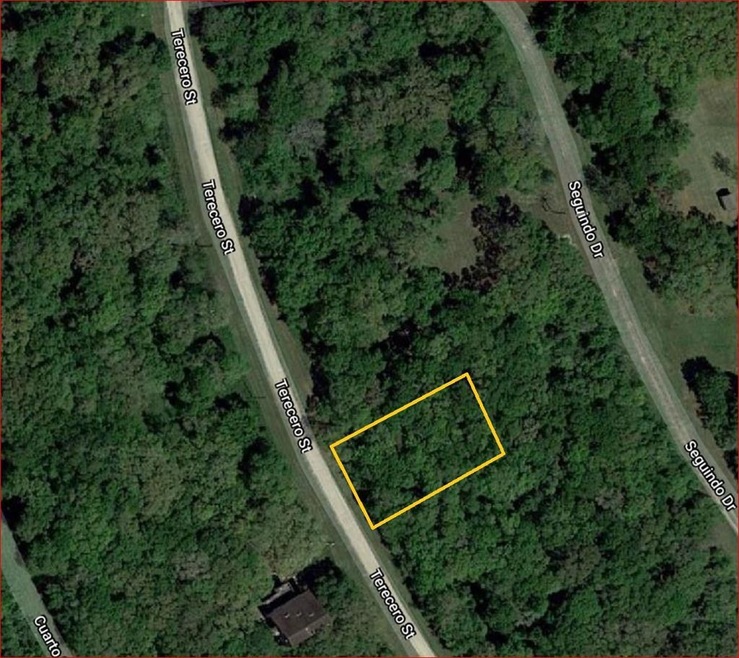 6313 Tercero, Brazoria, TX 77422 - photo 1