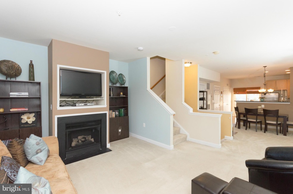 22577 Blue Elder Terrace, Ashburn, VA 20148 - photo 1