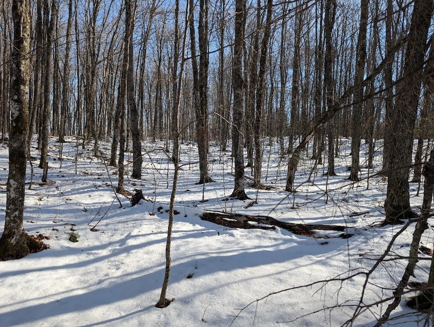 View of yard layered in snow