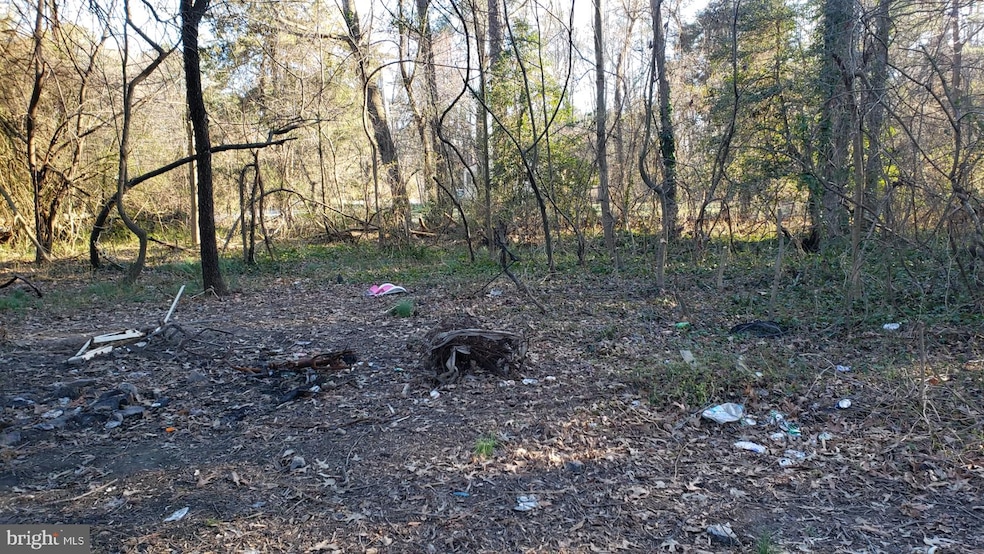 0 Dockser Dr unit MDSM168042, Mechanicsville, MD 20659 - photo 1