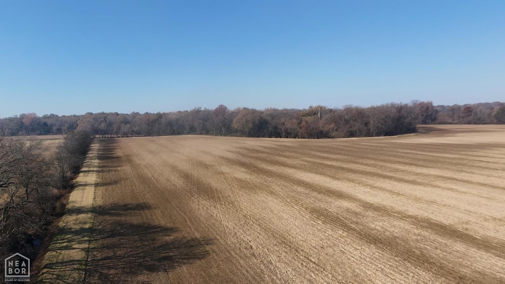 507 Hwy 280, Peach Orchard, AR 72453 - photo 1