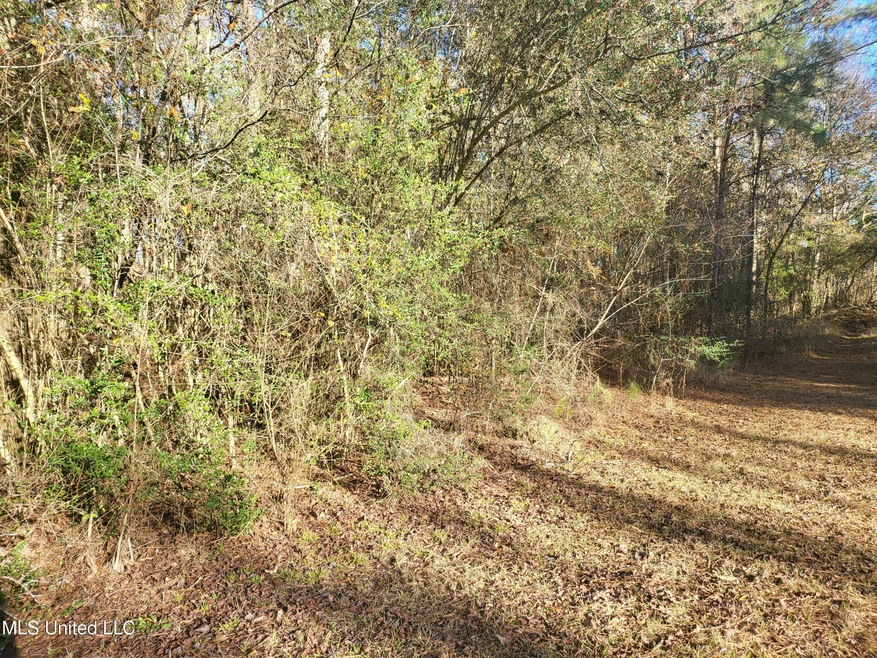 0 Causey Rd, McComb, MS 39648 - photo 1