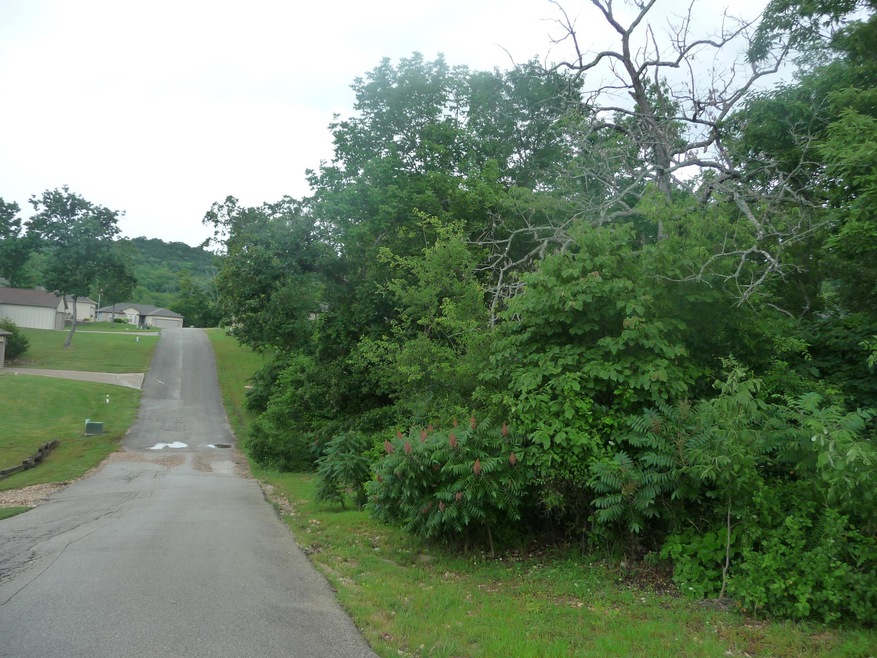 Tbd Oregon Ln, Ruth B Rural Township, MO 65686 - photo 1