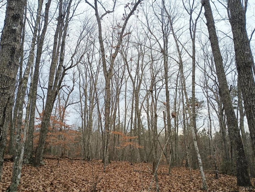 0 Axtell Rd unit 363502, Scottsville, VA 24590 - photo 1