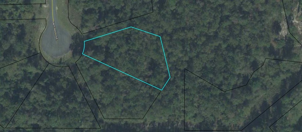 0 Daffodil Cove unit 313624, Crawfordville, FL 32327 - photo 1