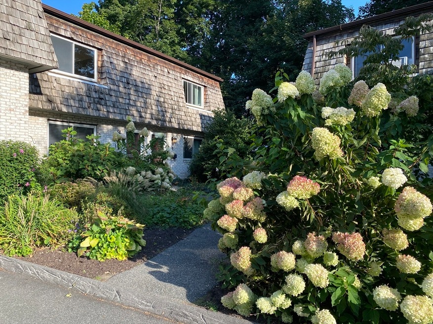 73 Bridge St unit 10, Northampton, MA 01060 - photo 1