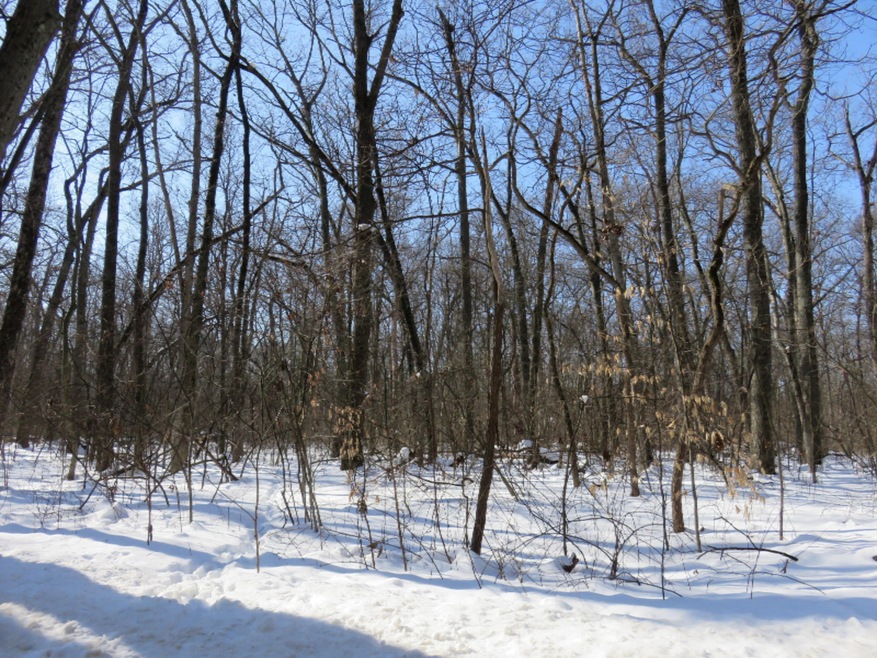 IMG_3825