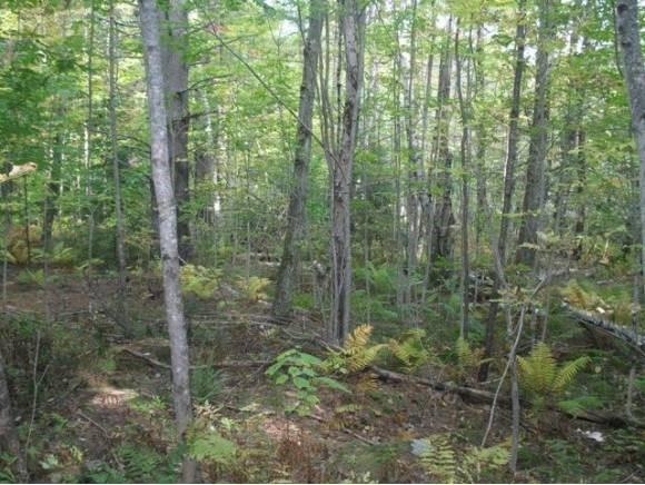 0 Upper Mad River Rd unit 7 4863640, Thornton, NH 03285 - photo 1