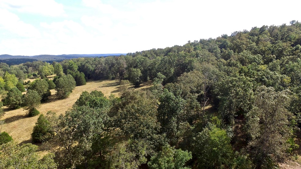 0 Farm Road 2100, Jenkins Township, MO 65605 - photo 1