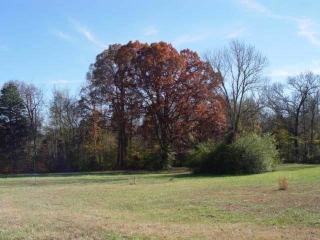 0 Belmar Cir, Manchester, TN 37355 - photo 1