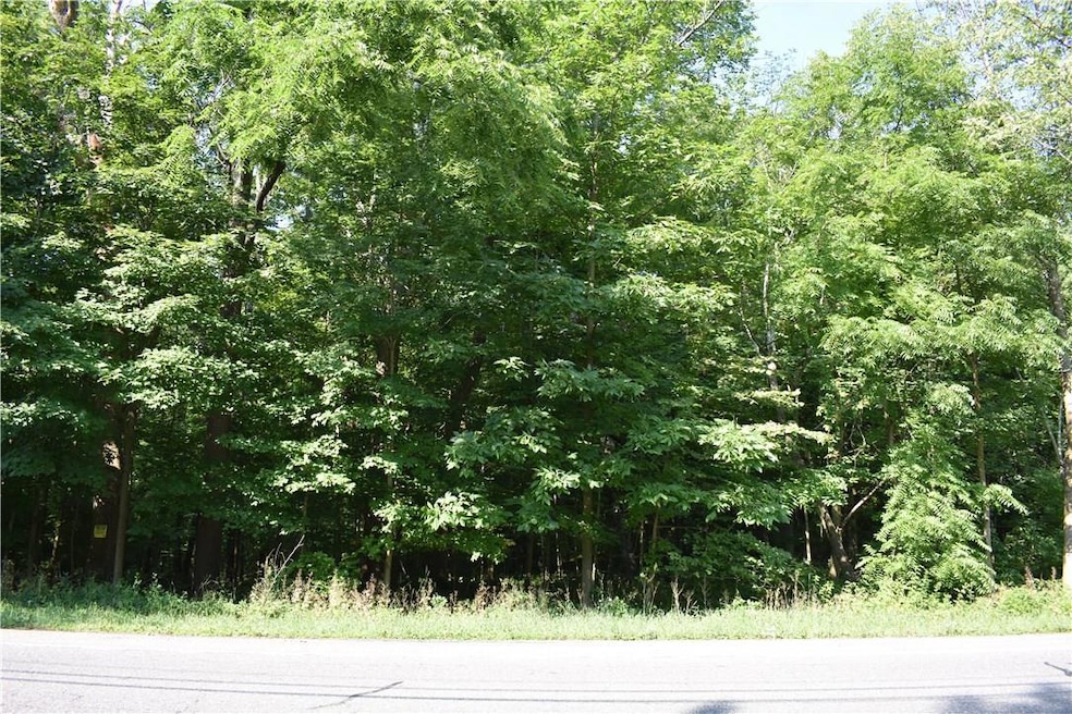 0 Bellvale Rd unit 4837462, Chester Town, NY 10918 - photo 1