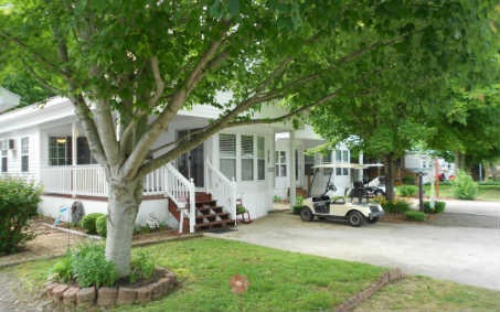 Main View