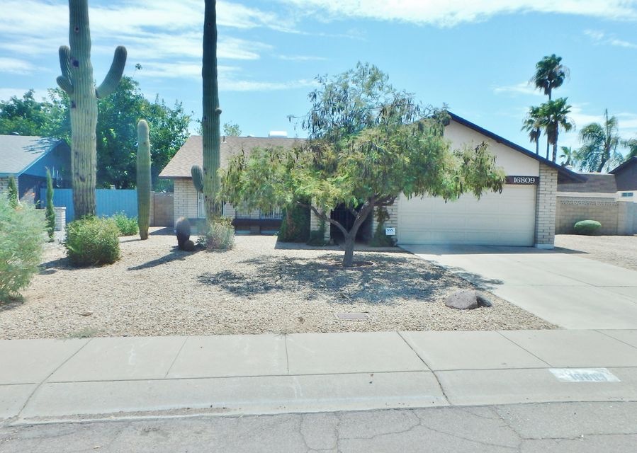 Patterson Listing 052