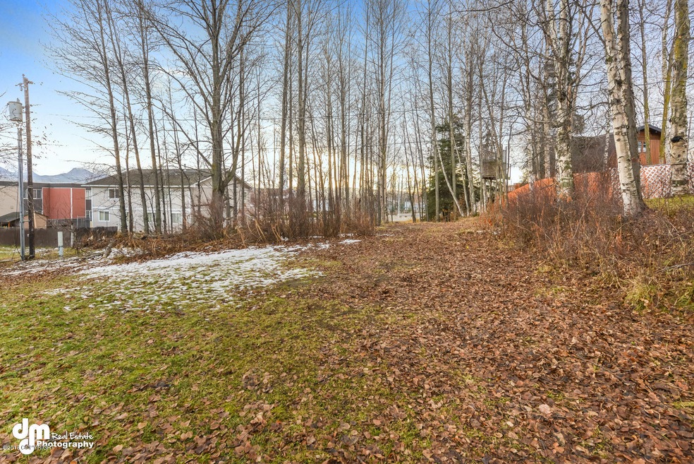 704 W 45th Ave Anchorage AK-large-007-9-