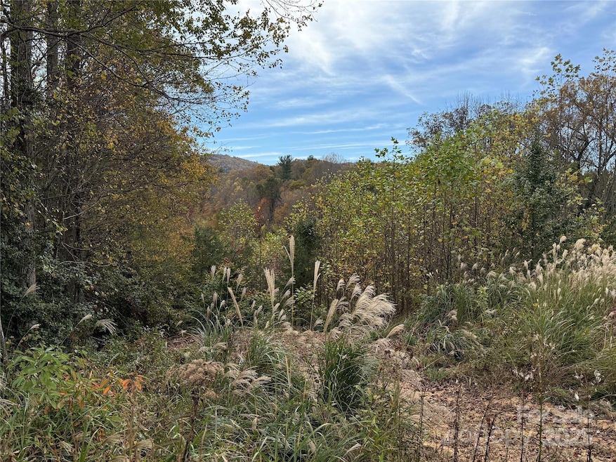 Lot # 2 W Legacy Dr unit 2, Hendersonville, NC 28739 - photo 1