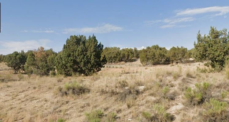 0 Turquoise Ave unit 23737763, Spring Creek, NV 89815 - photo 1