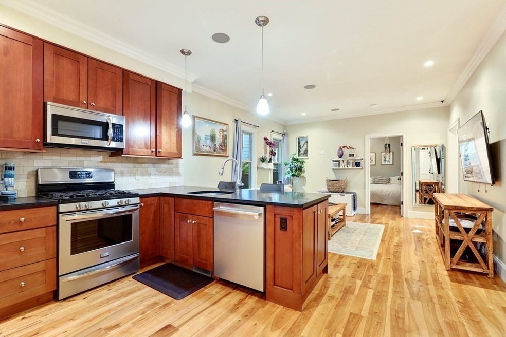 2 Ballard Way unit 1, Boston, MA 02130 - photo 1