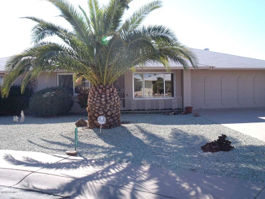 Lovely Home, Beautiful Palm Tree!