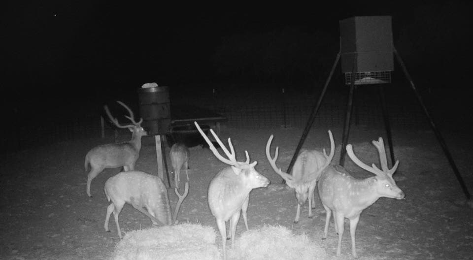 33 Sd 24750, Rocksprings, TX 78880 - photo 1