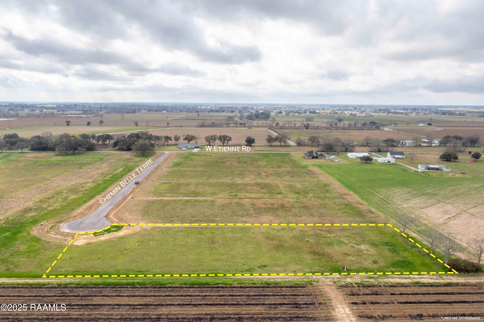 3902 Chemin Belle Terre, Maurice, LA 70555 - photo 1