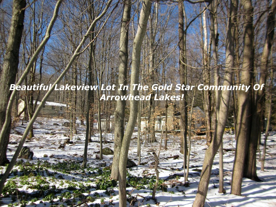 0 Lake Shore Dr unit PM-75453, Pocono Lake, PA 18347 - photo 1