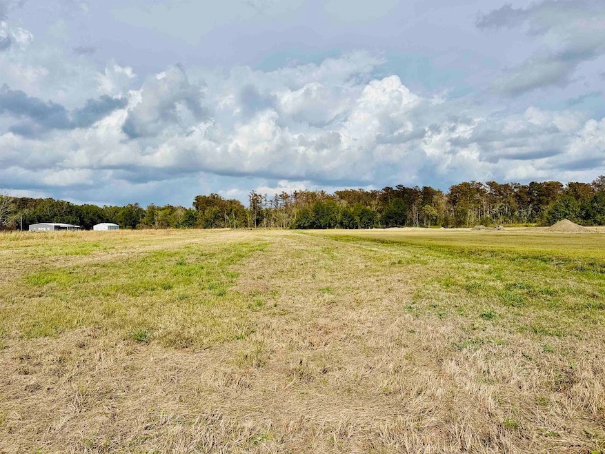 1403 Louisiana 20, Thibodaux, LA 70301 - photo 1