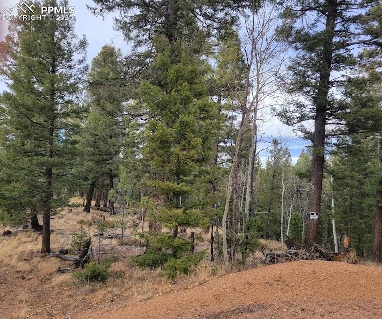 180 Sentinel Way, Florissant, CO 80816 - photo 1