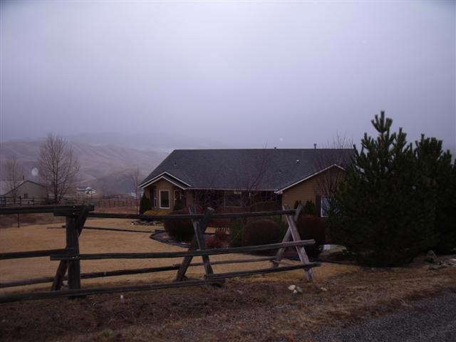 Main View