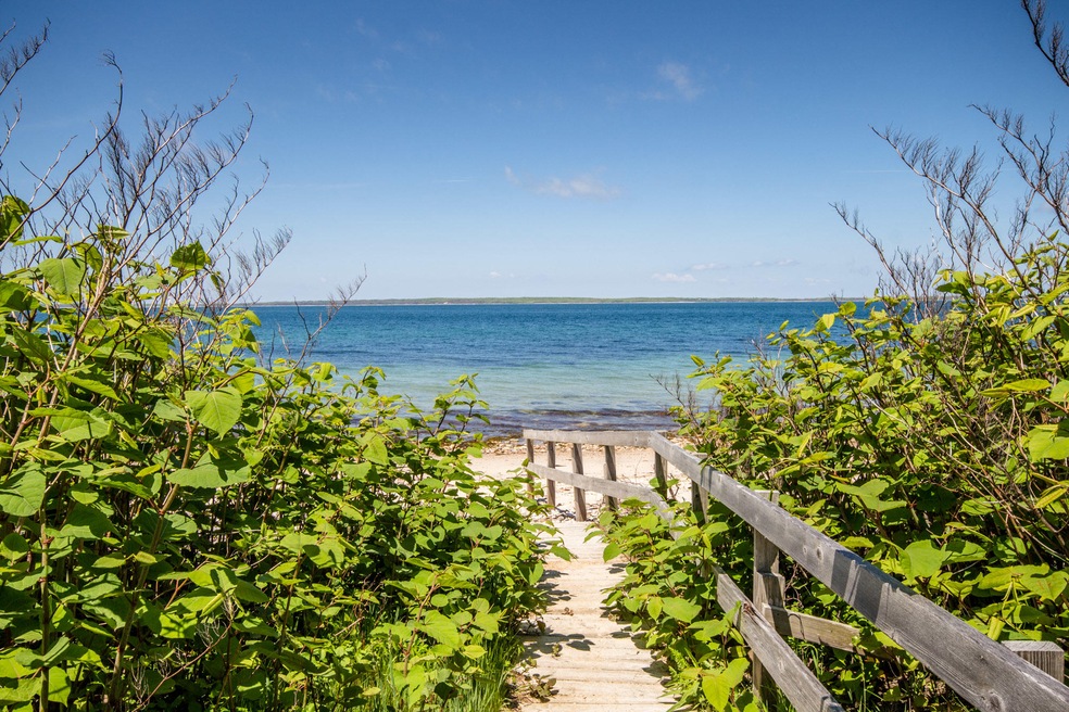 62 Naushon Rd, Vineyard Haven, MA 02568 - photo 1
