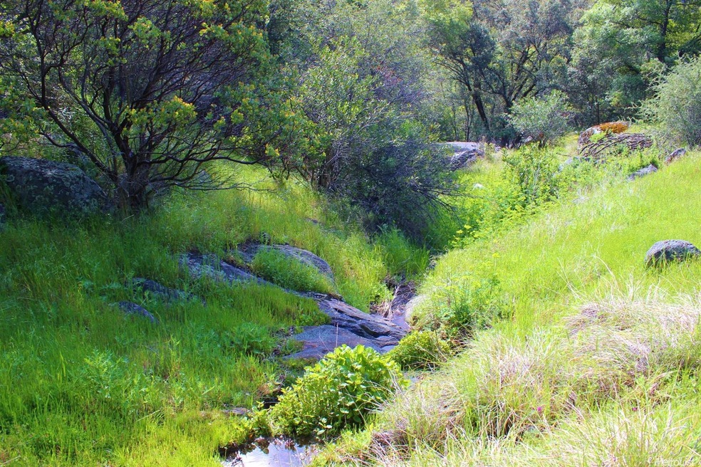 9481 Rock Creek Rd, Placerville, CA 95667 - photo 1