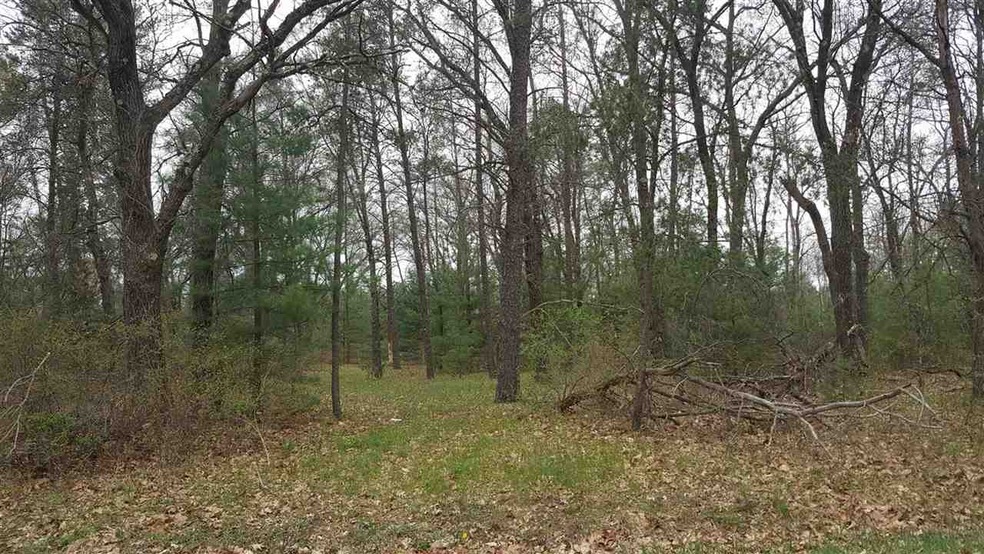 5.56 AC 37th St E, Clearfield, WI 53950 - photo 1