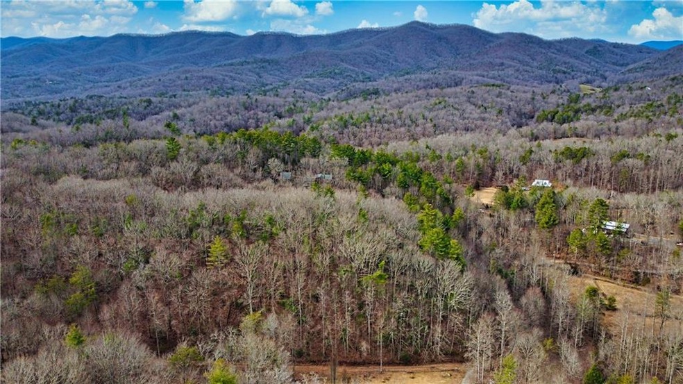 View from Above the Treeline