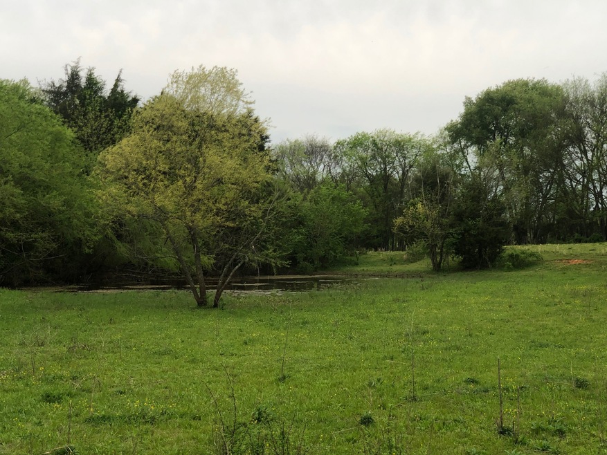 0 Highway 64 W unit RTC2237957, Shelbyville, TN 37160 - photo 1