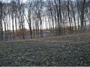 0 Haskamp Rd, Oldenburg, IN 47036 - photo 1