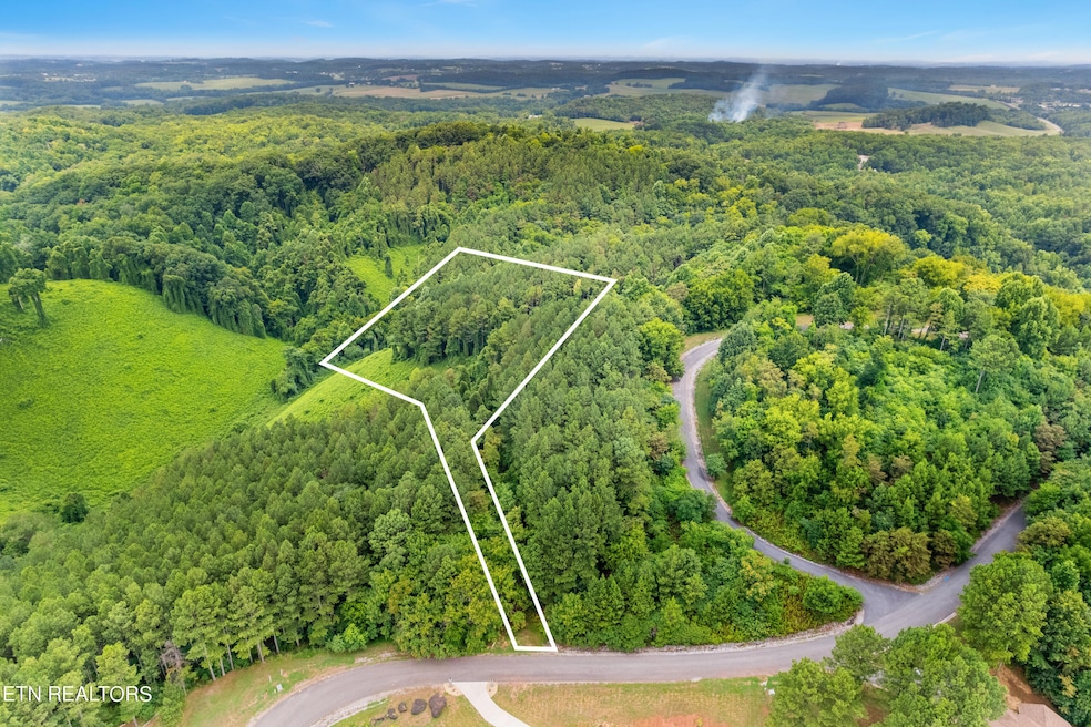 DJI_0410-HDR_1
