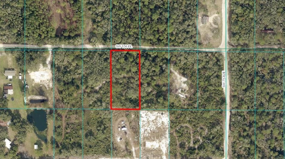 Tract 333 SW 156th Place, Dunnellon, FL 34432 - photo 1