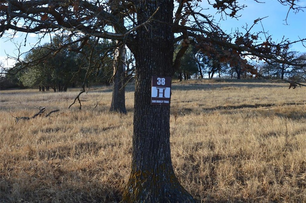 508 Dually Trail, Weatherford, TX 76087 - photo 1