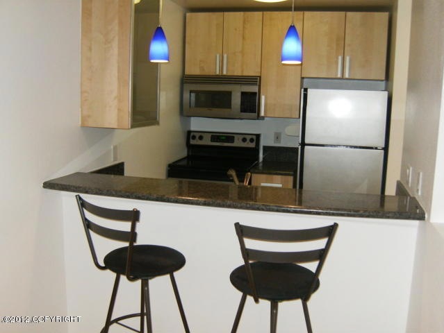 Kitchen and bar area