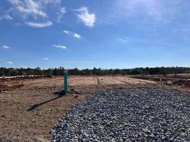 6366 Lemongrass Dr, Columbus, GA 31907 - photo 1