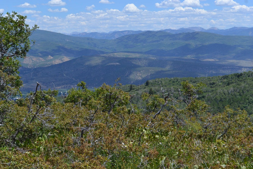 DSC_0196