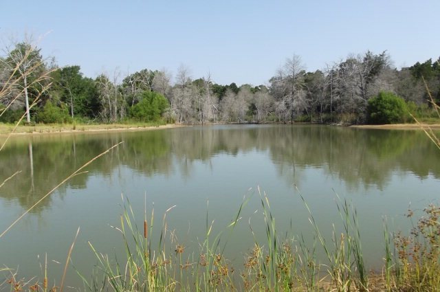 0 Cr 1206 unit 70667, Athens, TX 75751 - photo 1