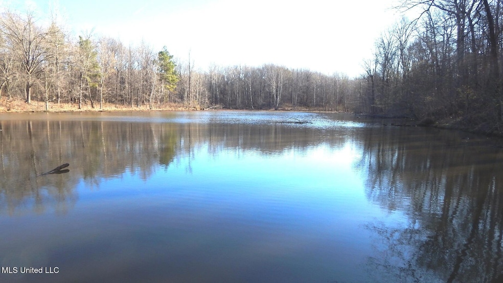Pond on the land
