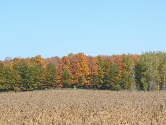 3218 Twin Creek Rd, Porterfield, WI 54159 - photo 1