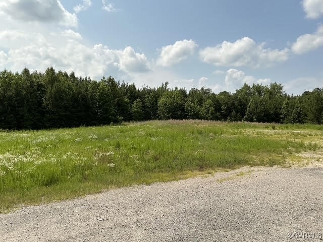 View of wooded area featuring a rural view