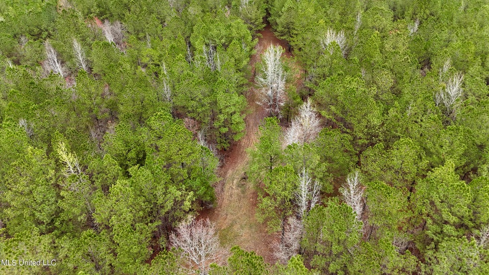 aerial