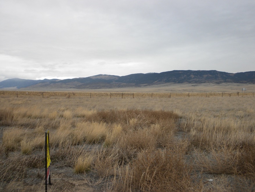TRESTLE CREEK 001